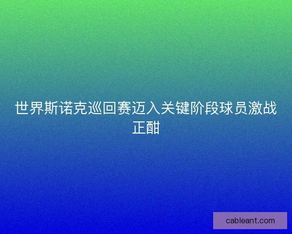 世界斯诺克巡回赛迈入关键阶段球员激战正酣